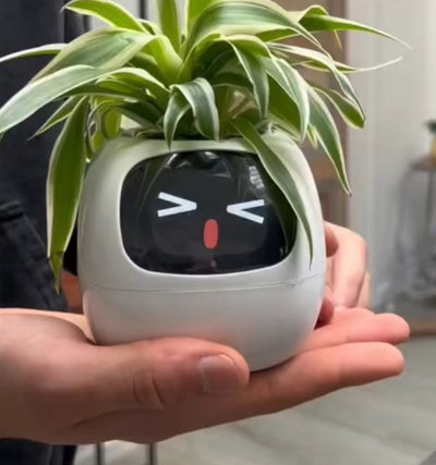 Votre nouveau compagnon !