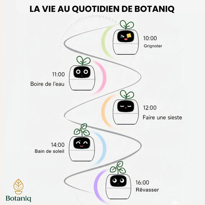Botaniq – La plante interactive