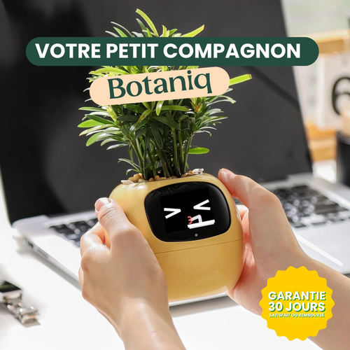 Botaniq – La plante interactive