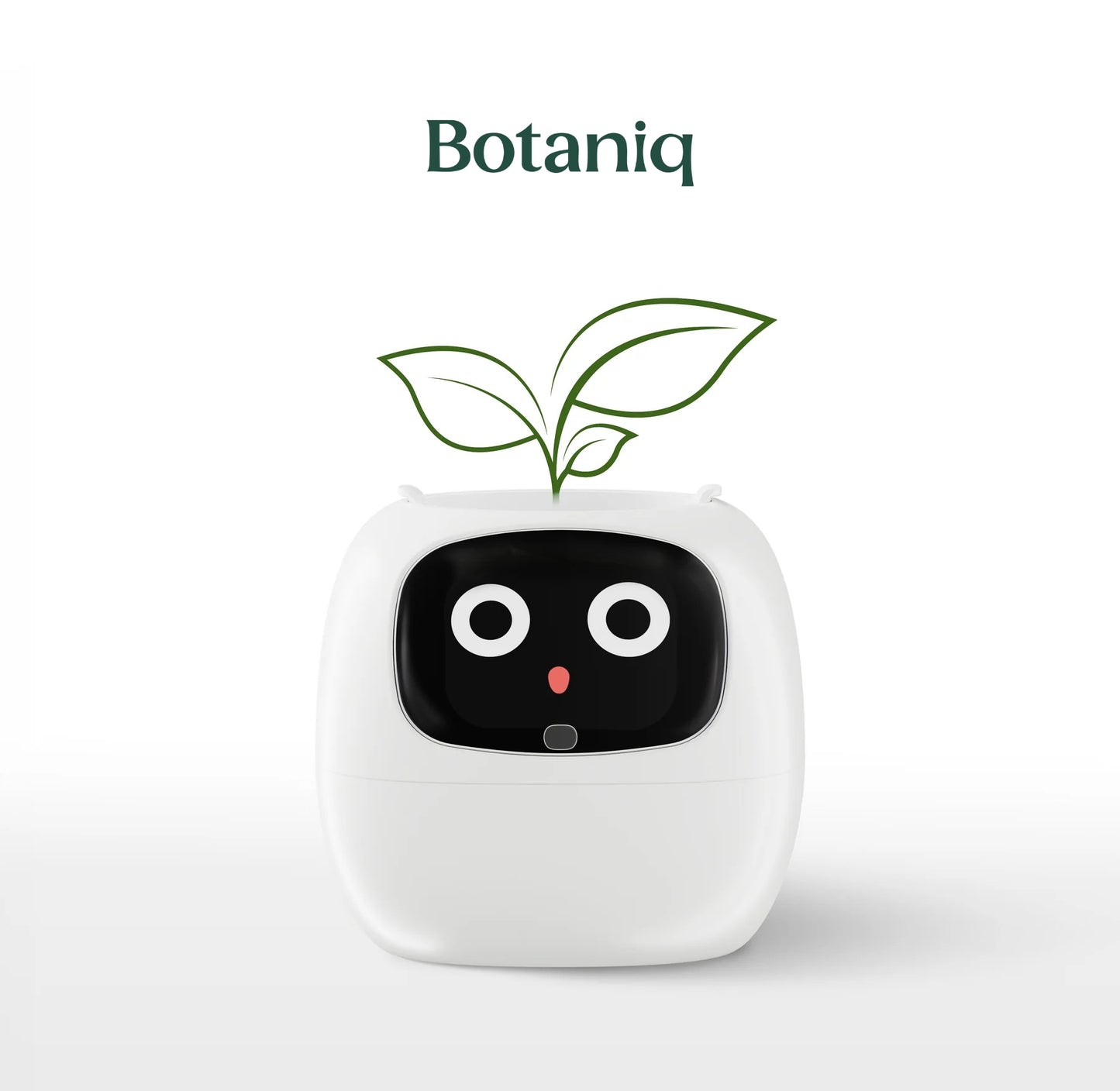 Botaniq – La plante interactive
